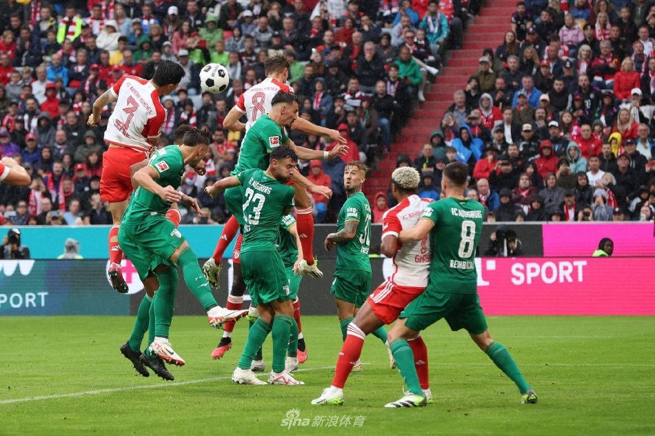 教练的选择 教练的选择