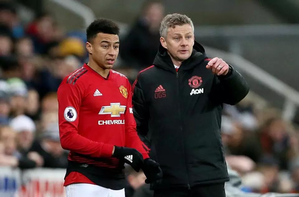 在赛场上 在赛场上